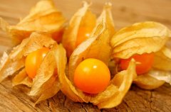 農(nóng)業(yè)自動(dòng)氣象站助力菇娘規(guī)?；N植